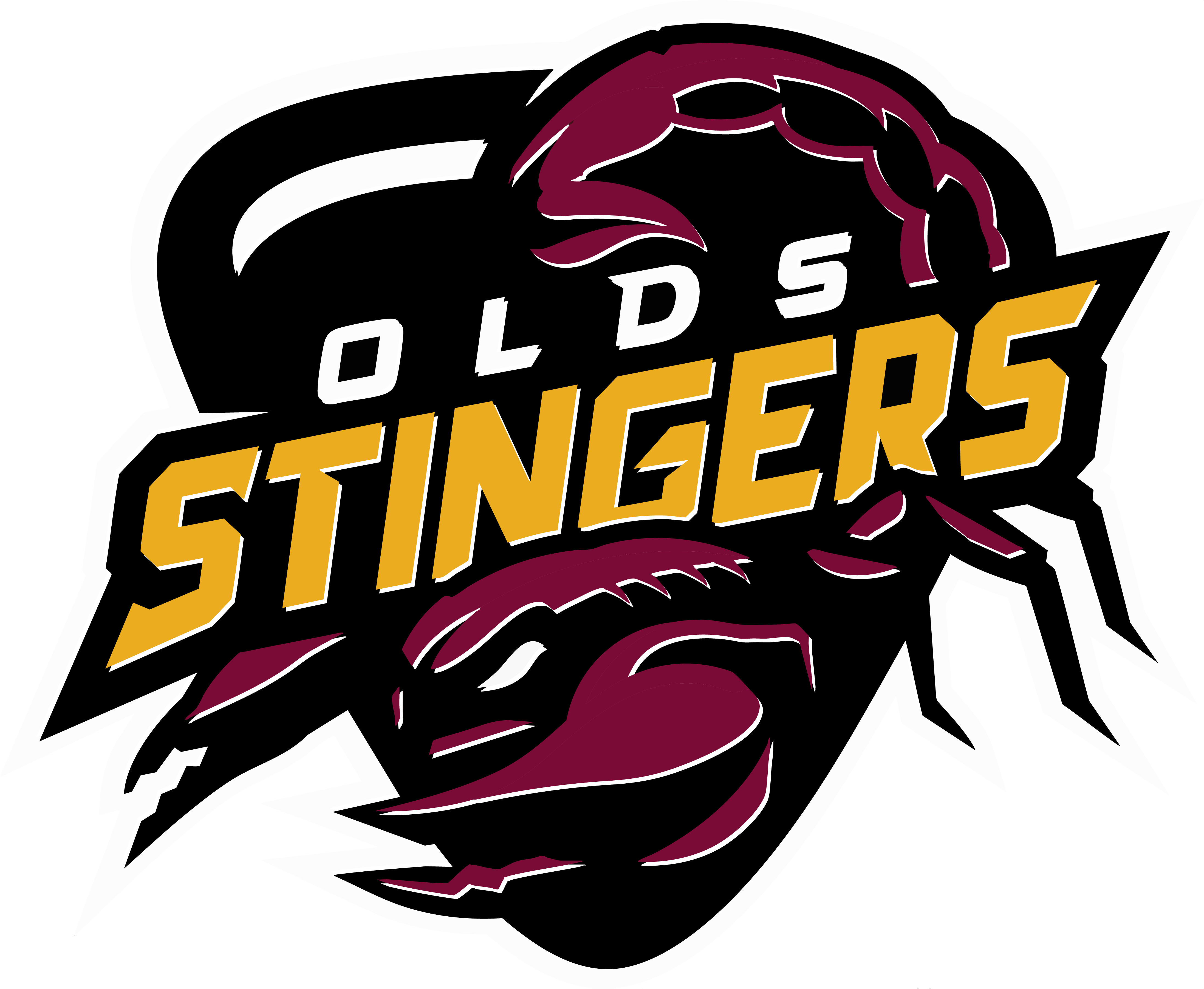 U13 Olds Stingers